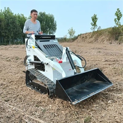 EPA Euro 5 Żgħar Skid Loader